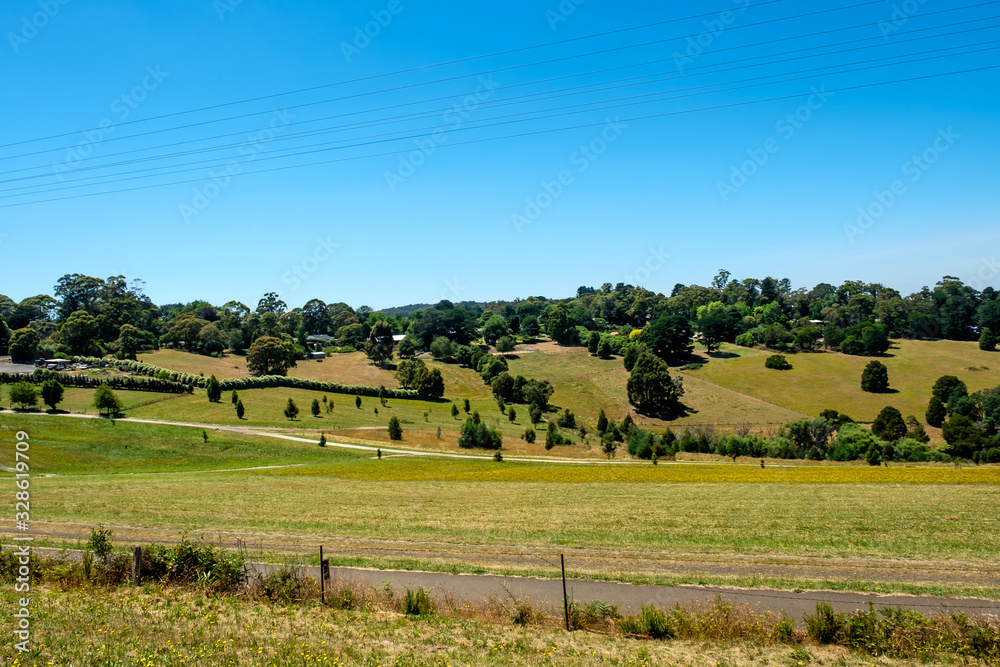 Fototapeta premium A rural road with beautiful grassland and beautiful sky