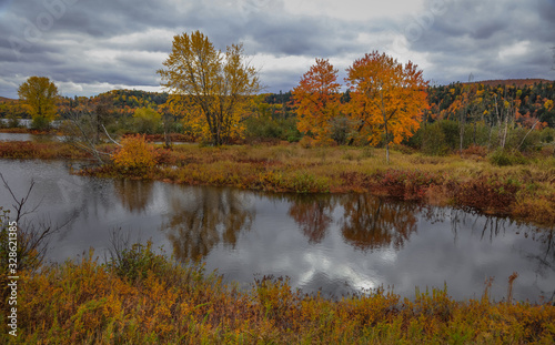 Autumn trees by Riviere Saint Maurice in Quebce province on a cloudy day.