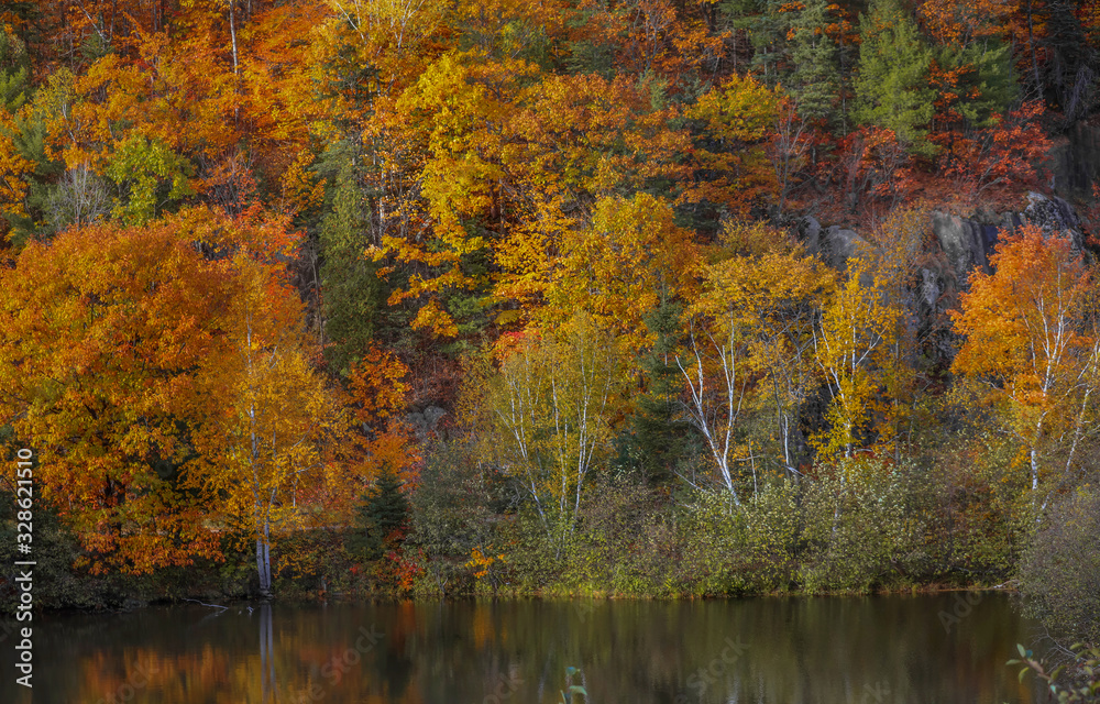 Fall foliage by Riviere Saint Maurice in autumn time near Grandes Piles in Quebec province.