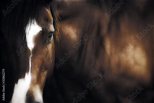 Artistic Horse Portrait