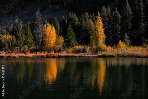 Reflection of Aspen and pine trees in the lake
