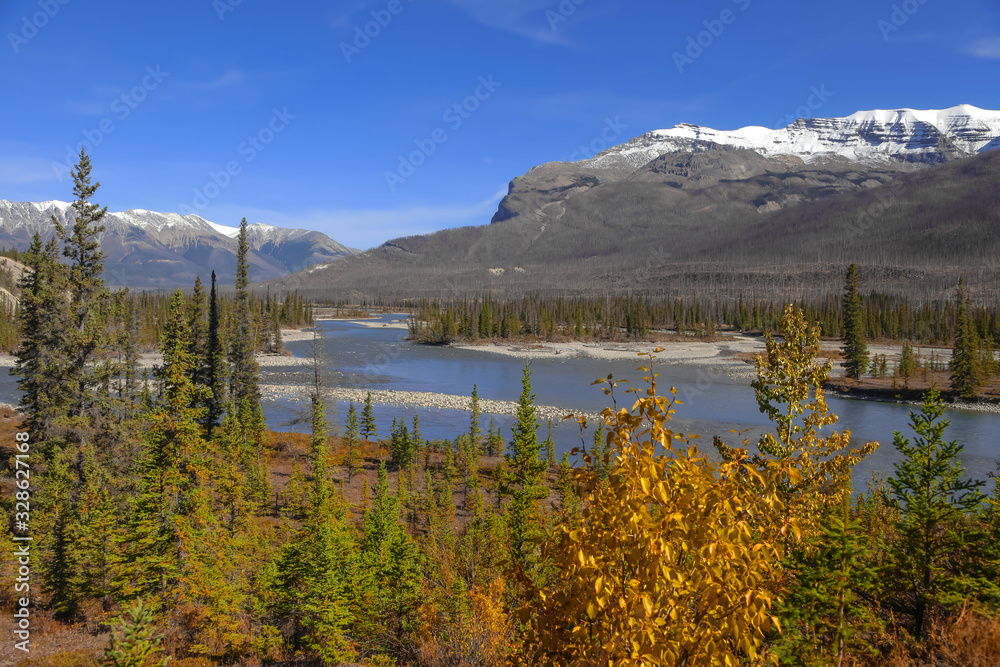 North Saskatchewan river in jasper national park North Saskatchewan river in jasper national park
