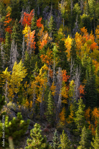 Colorful trees on mountain top in autumn time