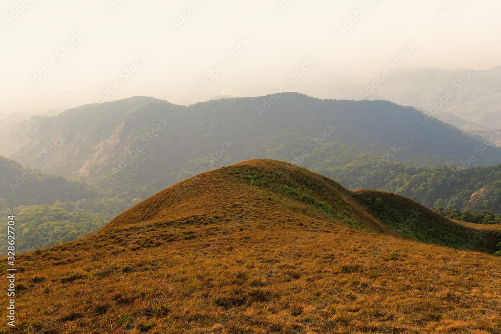 yellow field on top of the mountain at Monjong