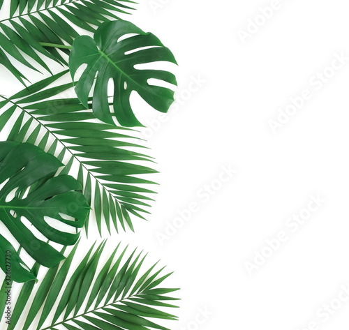 Fototapeta Naklejka Na Ścianę i Meble -  tropical green palm, monstera leaves , branches frame isolated on a white background. top view.copy space.abstract.