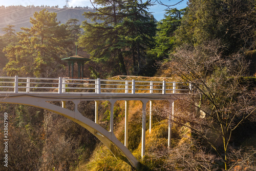 National Botanical Garden Tbilisi Georgia view and nature sightseeing of local flora and fauna. Bridge view.