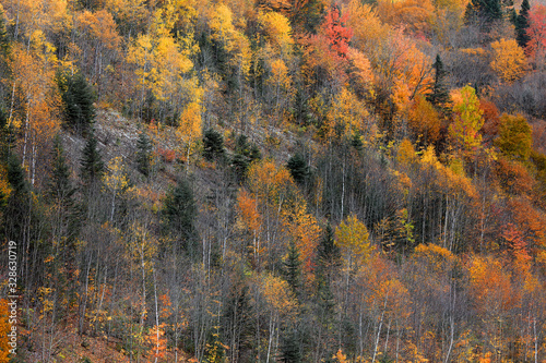 Fall foliage in Quebec mountains