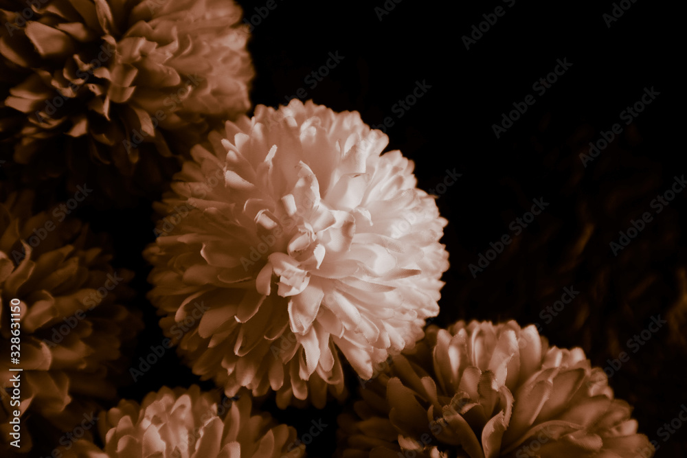 Beautiful abstract color black and yellow flowers on black background and gold flower frame and brown leaves texture, dark background, orange and gold love banner Beautiful abstract color black and yellow flowers on black background and gold flower frame and brown leaves texture, dark background, orange and gold love banner