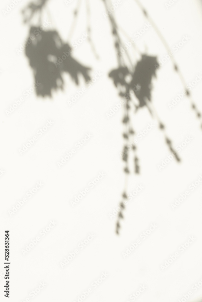 Obraz premium natural leaves shadow background . Abstract tree branch falling on light wall texture for backdrop and wallpaper.Floral card.