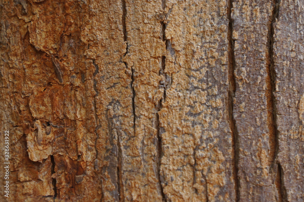 Embossed texture of the bark of trees. the vintage photo style of the old bark tree texture abstract background. Embossed texture of the bark of trees. the vintage photo style of the old bark tree texture abstract background.