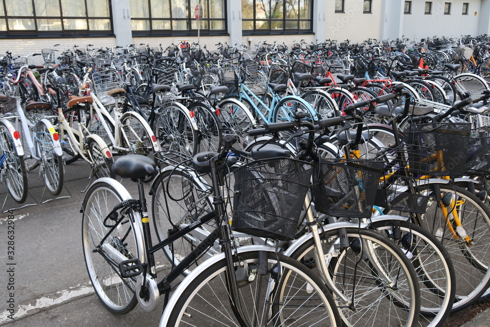 Bicycles near Hokkaido university