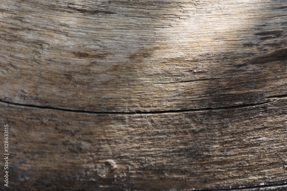 Fototapeta premium wood bark texture closeup for natural brown abstract bacgkround