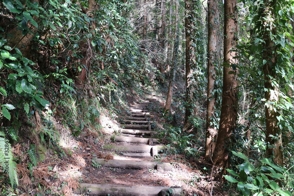 千葉県南房総富山の登山道 千葉県南房総富山の登山道