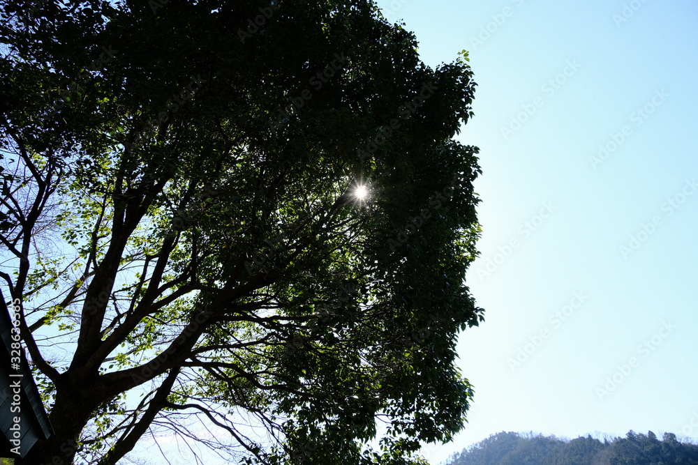 Obraz premium 風景 山 湖 ダム