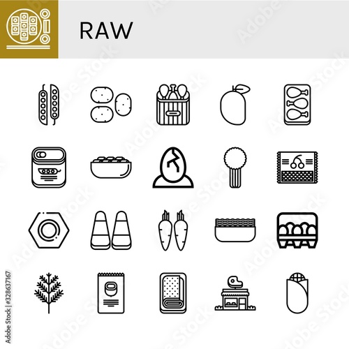 raw simple icons set