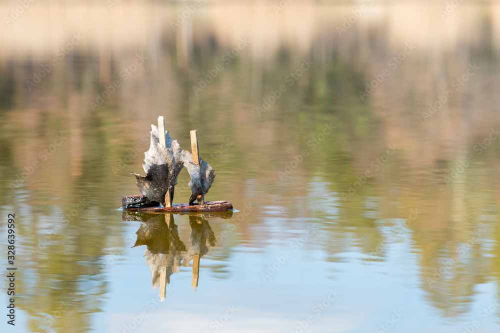 toy wooden boat in the lake. Boat made of bark and leaves toy wooden boat in the lake. Boat made of bark and leaves