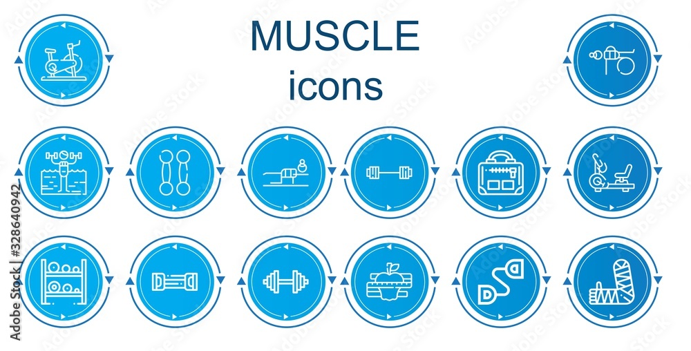 Editable 14 muscle icons for web and mobile Editable 14 muscle icons for web and mobile