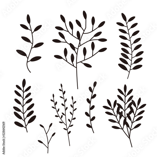 草　植物　グリーン　素材