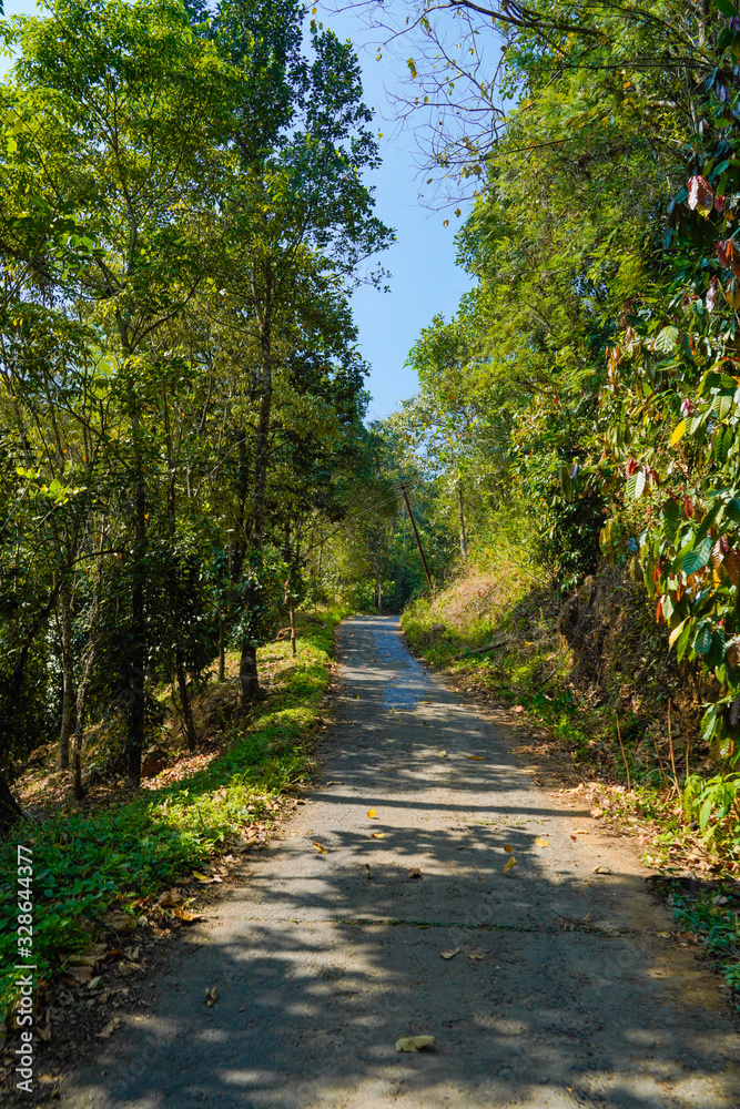 Mountain roads of Munnar with tea estates on both sides provides a breathtaking view to the tourists. Mountain roads of Munnar with tea estates on both sides provides a breathtaking view to the tourists.