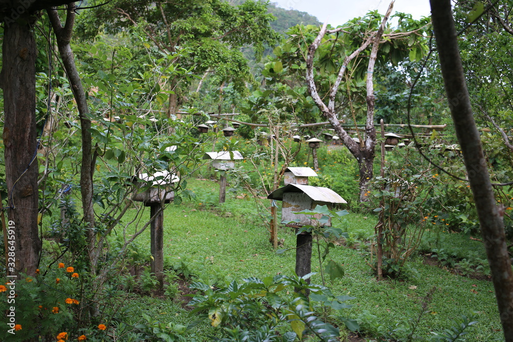 bee farm