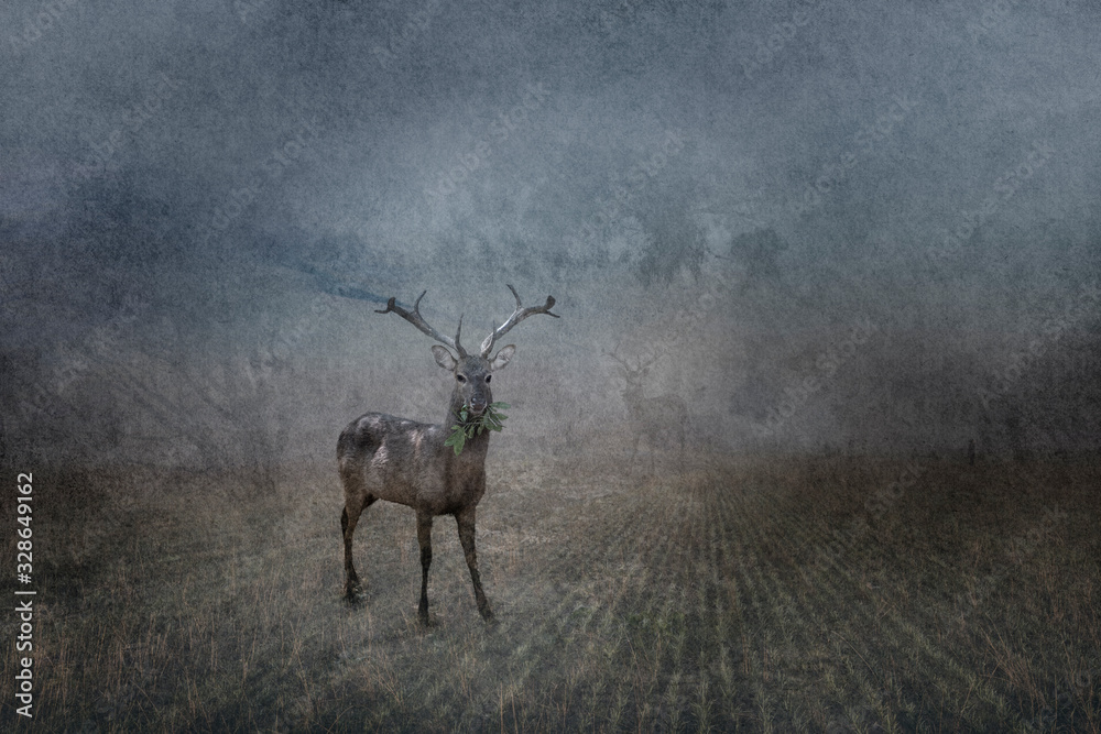 Obraz Spirit Deer, digital art, fine art photography
