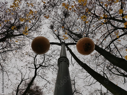Una farola del parque