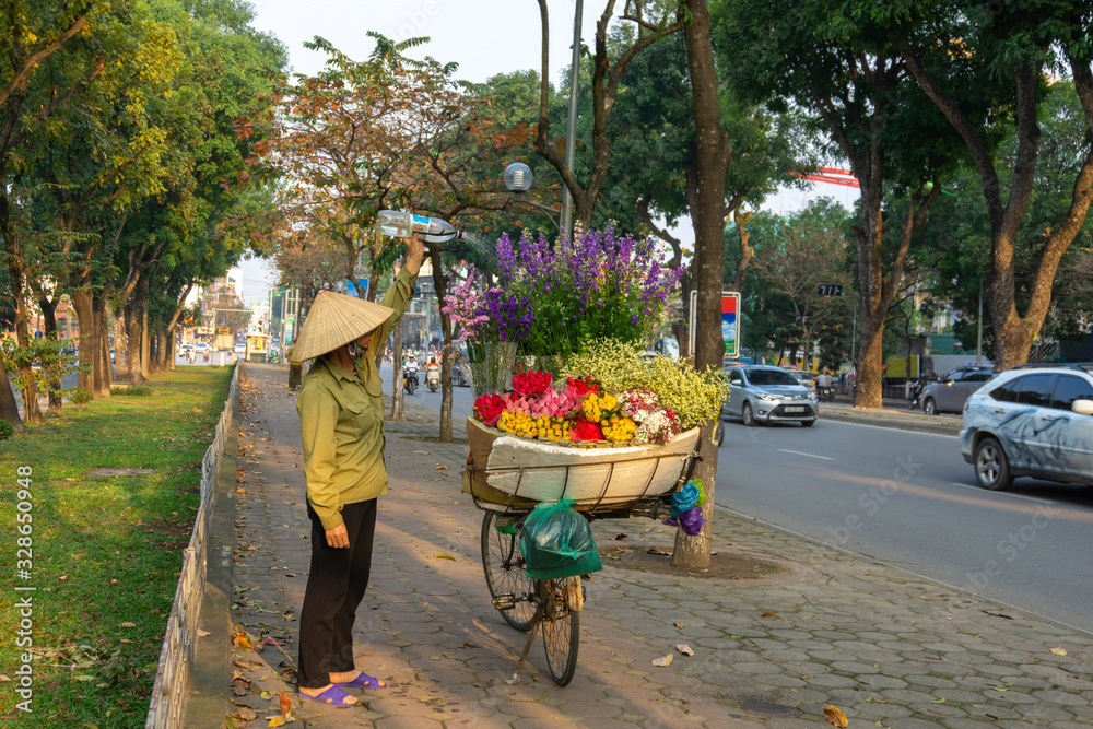 Flower basket on bike of street vendor on Hanoi street. Yellow leaf trees. Autumn or winter season - obrazy, fototapety, plakaty 