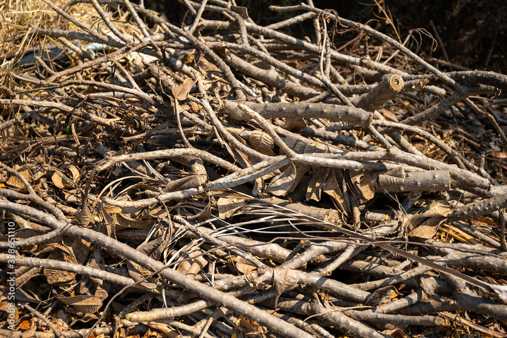 Dry twigs Dry twigs