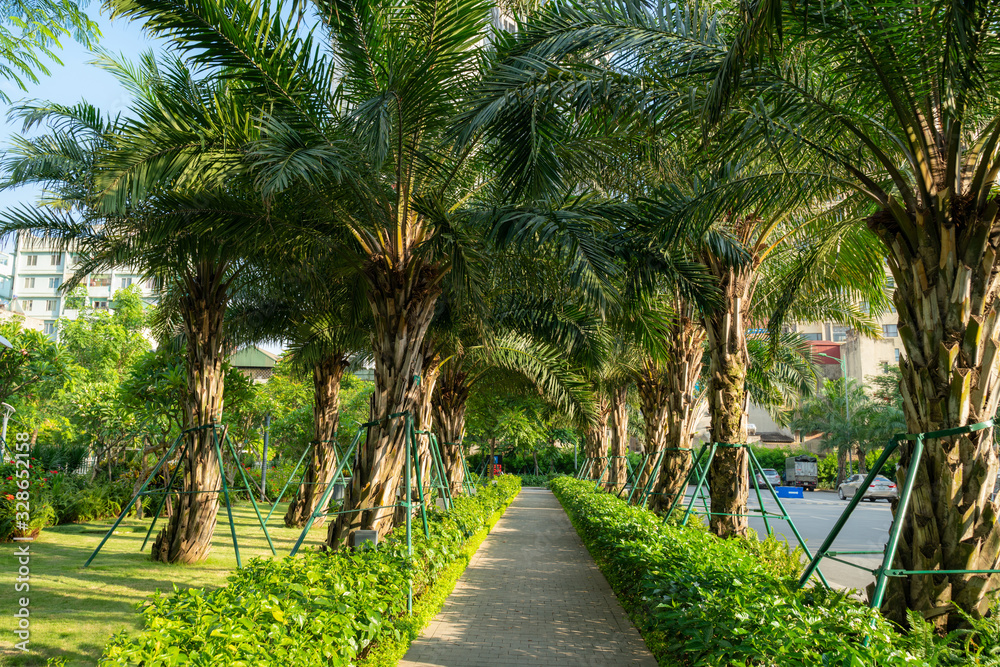 City park with path and green trees in Hanoi, Vietnam