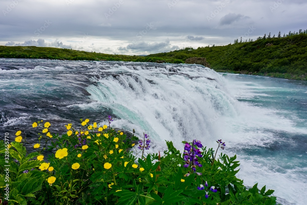 beautiful small waterfall in cloudy weather, bright flowers in the foreground, Iceland