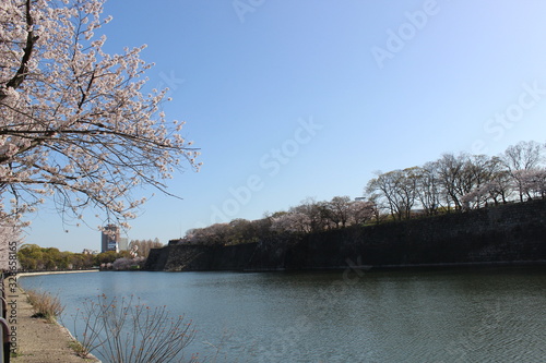 lake in the forest Japan osaka