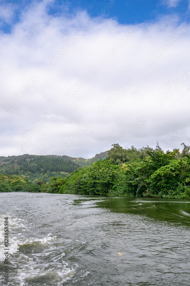 Wailua River Cruise & Grotto Tour takes you on a cruise down the Wailua River to the botanical beauty of Fern Grotto plus a romantic visit to Opaekaa Falls on Kauai, Hawaii. Wailua River Cruise & Grotto Tour takes you on a cruise down the Wailua River to the botanical beauty of Fern Grotto plus a romantic visit to Opaekaa Falls on Kauai, Hawaii.
