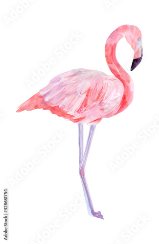Watercolor illustration tropical exotic bird pink flamingo. Perfect as background texture, wrapping paper, textile or wallpaper design. Hand drawn isolated bird © NataliaArkusha