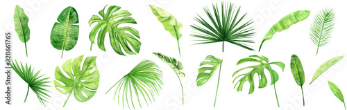 Green palm leaves set. Tropical plant. Hand painted watercolor illustration isolated on white background. Realistic botanical art. Design element for fabrics, invitations, clothes and other