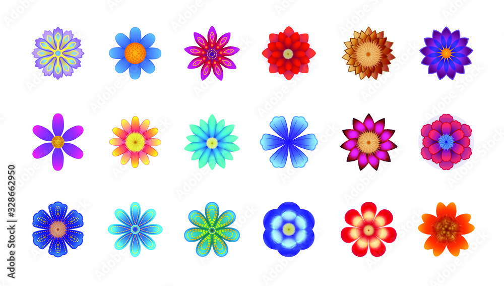Vector floral set, colorful flowers on white background, different flowers collection, beautiful assorted flowers 