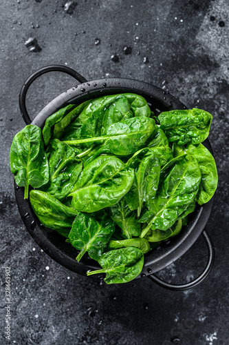 Young raw spinach in a colander. Black background. Top view