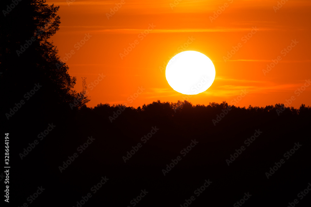 Fiery sunset over dark forest silhouette
