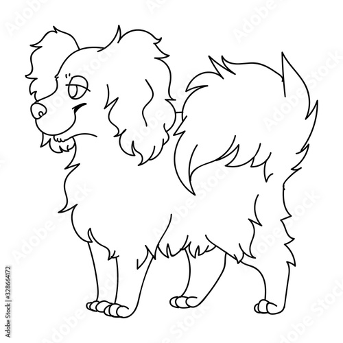 Cute cartoon papillon dog monochrome lineart vector clipart. Pedigree kennel puppy breed for dog lovers. Purebred domestic puppy for pet parlor illustration. Isolated canine fluffy. EPS 10. 
