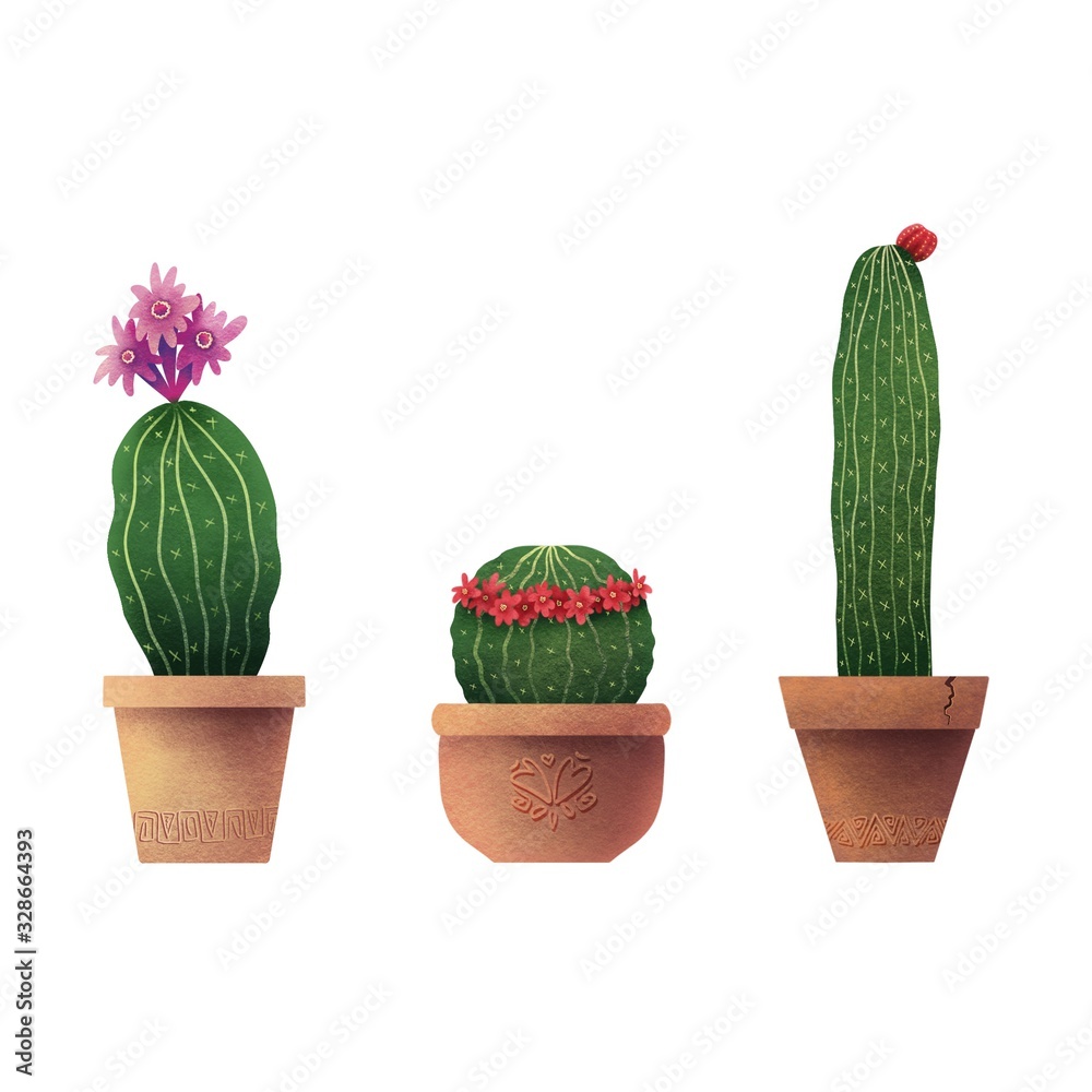 Сute cacti on white background. Нome plants in pots.Botanical illustration. Design for textile, fabric, print, smartphone cover, postcard, cover notebooks. Blooming cactus. Bloom. Сute cacti on white background. Нome plants in pots.Botanical illustration. Design for textile, fabric, print, smartphone cover, postcard, cover notebooks. Blooming cactus. Bloom.