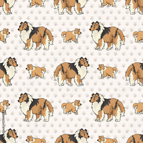 Hand drawn cute rough collie breed dog and puppy seamless vector pattern. Purebred pedigree puppy domestic dog on paw background. Dog lover sheepdog pet all over print. Kennel pooch. EPS 10. 