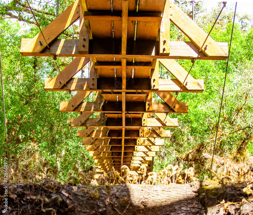 The canopy walk at Florida's Myakka River State Park. The walkway is suspended 25 feet above the ground and extends 100 feet through the hammock canopy photo