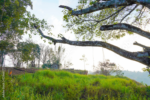 Famous, beautiful and ever green hill station, Munnar, in Kerala, South India