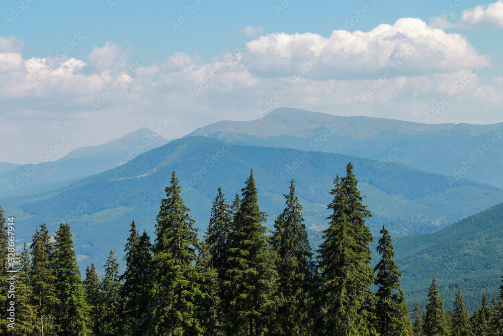 Carpathian Mountains. View of the Chornohora Range and Mount Hoverla and Petros. Carpathian landscape on a sunny summer day. Beautiful sunny day is in mountain landscape. Carpathian, Ukraine.