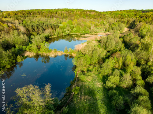 Beautiful aerial forest scene in summer. Green trees and river on sunny summer day. © MNStudio
