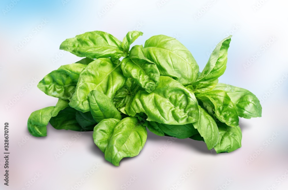 Basil. Basil.
