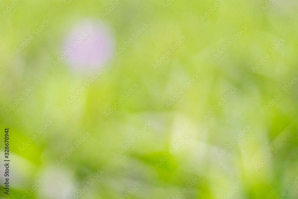 Fototapeta premium Abstract nature green blur background with bokeh