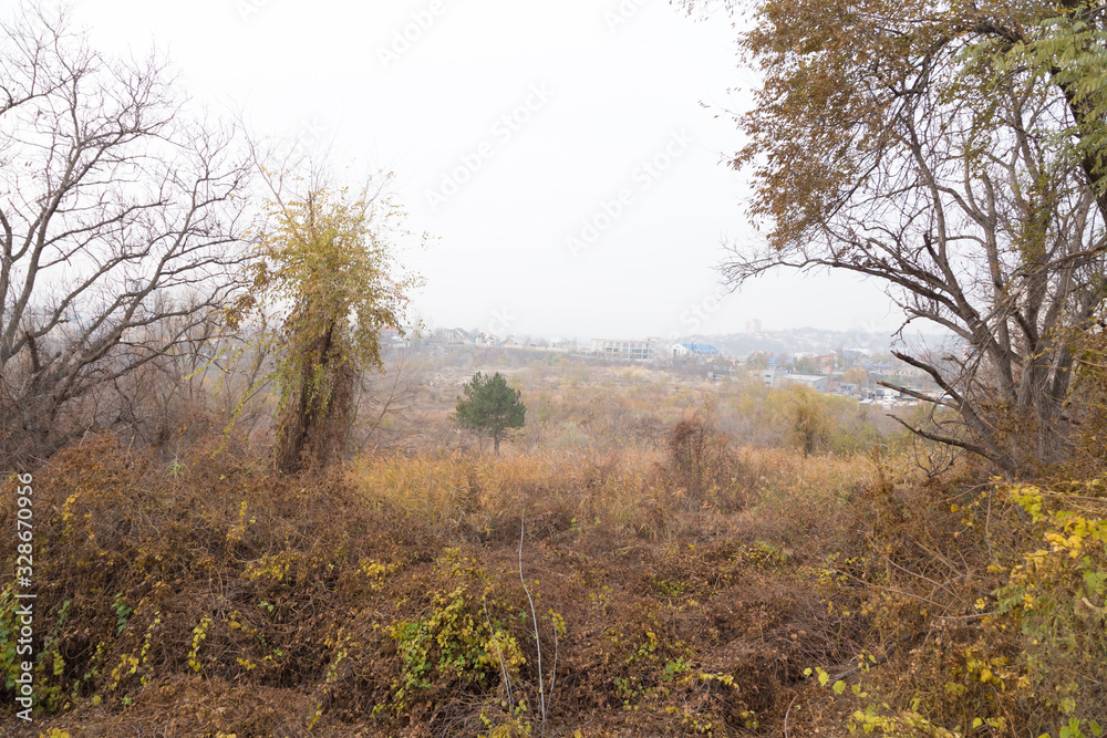 Fantastic autumn landscape with the haze in the caty. Fantastic autumn landscape with the haze in the caty.
