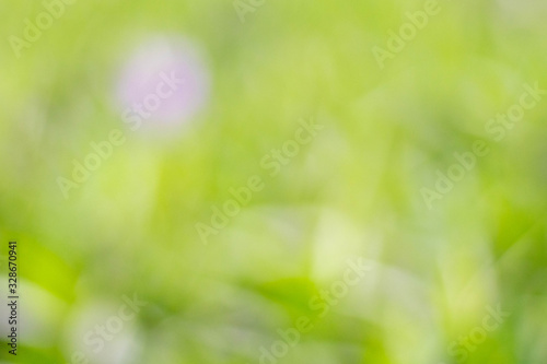 Abstract nature green blur background with bokeh