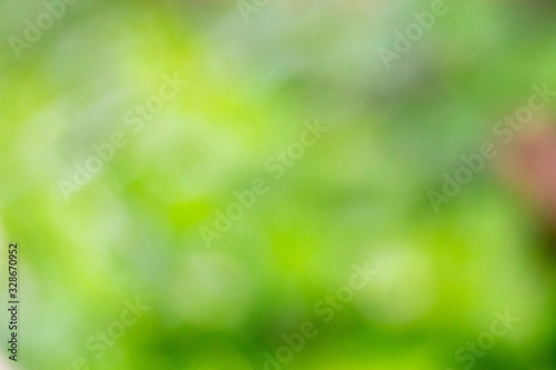 Abstract nature green blur background with bokeh