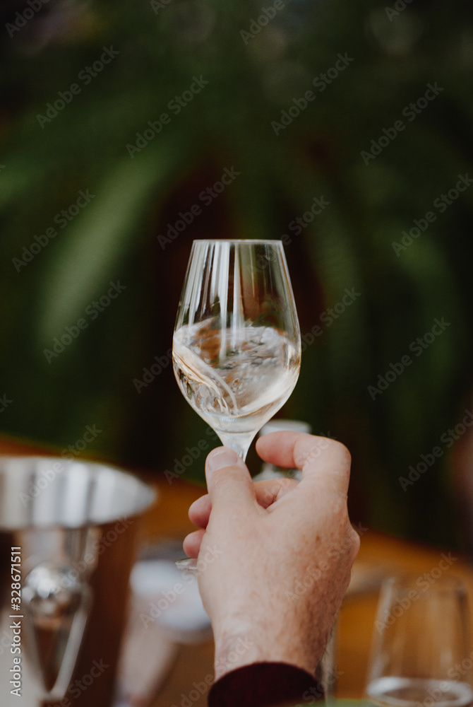 Obraz premium White and rose wine close up view glass and carafe wine. 